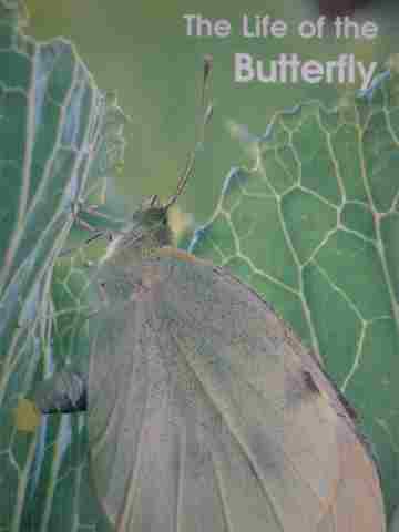 (image for) Informazing! The Life of the Butterfly (P) by David Drew