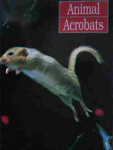(image for) Informazing! Animal Acrobats (P) by David Drew