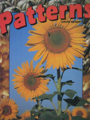 (image for) Literacy 2000 Satellites Patterns (P) by David Bennet