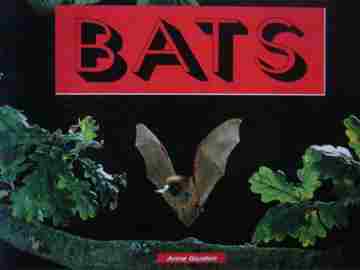 (image for) Literacy Tree Bats (P) by Anne Gordon