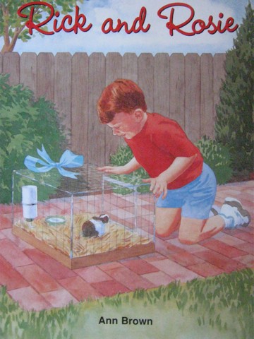 (image for) Phonics & Friends Level A Rick & Rosie (P) by Ann Brown