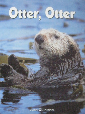 (image for) Phonics & Friends Level A Otter, Otter (P) by Juan Quintana