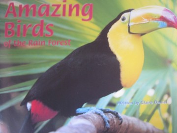 (image for) Pair-It Books Amazing Birds of the Rain Forest (P) by Daniel