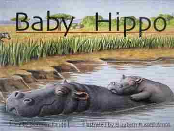 (image for) New PM Story Books Baby Hippo (P) by Beverley Randell