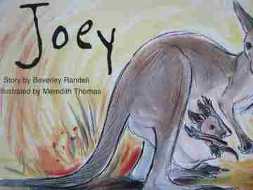 (image for) New PM Story Books Joey (P) by Beverley Randell