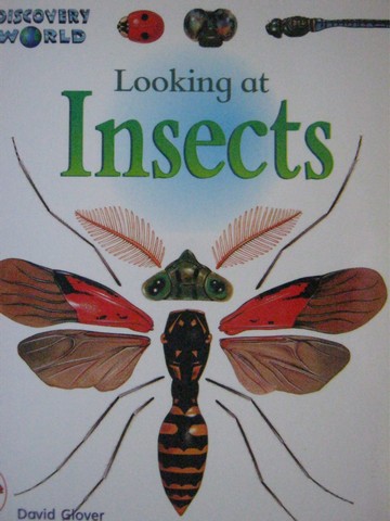(image for) Discovery World Red Looking at Insects (P) by David Glover