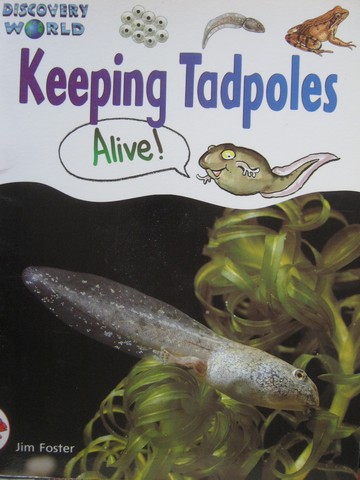 (image for) Discovery World Red Keeping Tadpoles Alive! (P) by Jim Foster