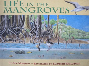 (image for) RHCC 2A Life in the Mangroves (P) by Rob Morrison