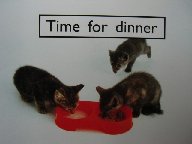 (image for) PM Starters One Time for Dinner (P) by Randell, Giles, & Smith