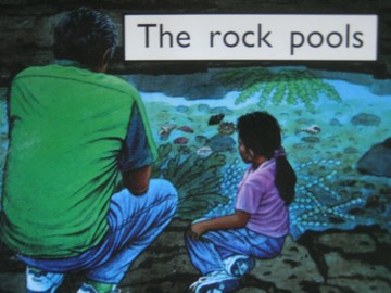 (image for) PM Starters Two The Rock Pools (P) by Annette Smith