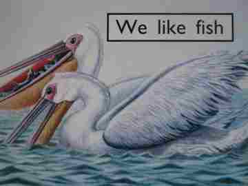 (image for) PM Starters Two We Like Fish (P) by Beverley Randell
