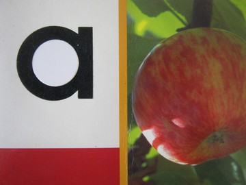 (image for) PM Collection a (P) by Beverley Randell