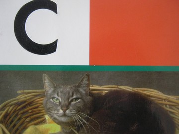 (image for) PM Collection c (P) by Beverley Randell