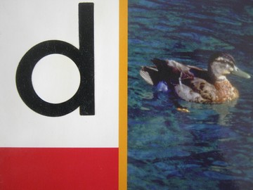 (image for) PM Collection d (P) by Beverley Randell