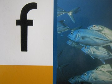 (image for) PM Collection f (P) by Beverley Randell