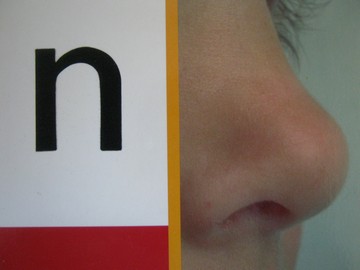 (image for) PM Collection n (P) by Beverley Randell