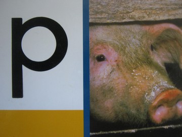 (image for) PM Collection p (P) by Beverley Randell