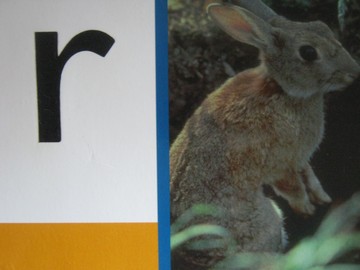 (image for) PM Collection r (P) by Beverley Randell