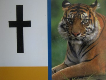 (image for) PM Collection t (P) by Beverley Randell