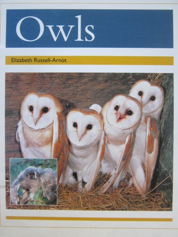 (image for) PM Animal Facts Nocturnal Animals Owls (P) by Russell-Arnot