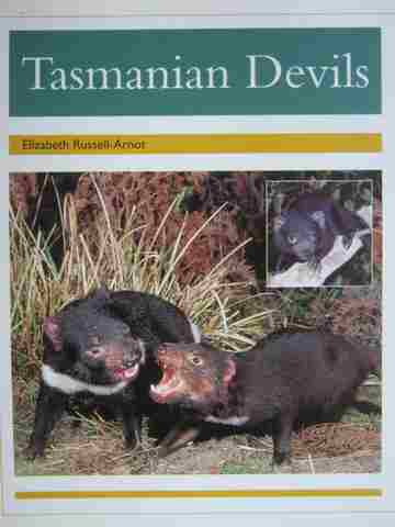(image for) PM Collection Tasmanian Devils (P) Elizabeth Russell-Arnot