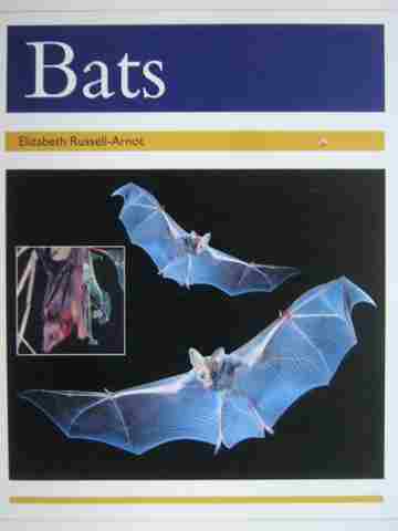 (image for) PM Collection Bats (P) by Elizabeth Russell-Arnot