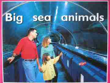 (image for) PM Plus Starters Level 2 Big Sea Animals (P) by Smith, Giles, & Randell
