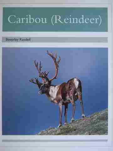 (image for) PM Animal Facts Caribou (Reindeer) (P) by Beverly Randell