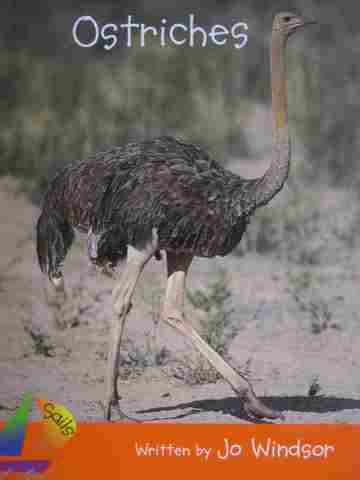 (image for) Sails Fluency Ostriches (P) by Jo Windsor