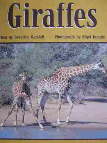 (image for) PM Benchmark Level 23 Giraffes (P) by Beverley Randell