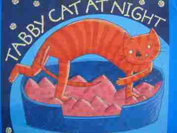 (image for) Brand New Readers Tabby Cat at Night (P) by Phyllis Root