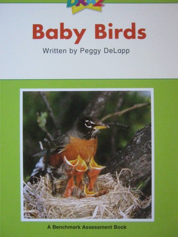 (image for) DRA2 16 Baby Birds (P) by Peggy DeLapp