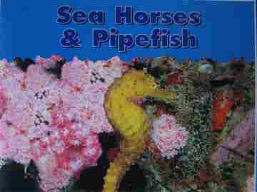 (image for) Sea Horses & Pipefish (P) by Stanley L Swartz