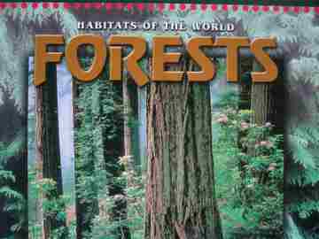 (image for) Forests (P) by Alison Ballance