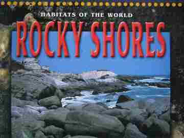 (image for) Rocky Shores (P) by Alison Ballance