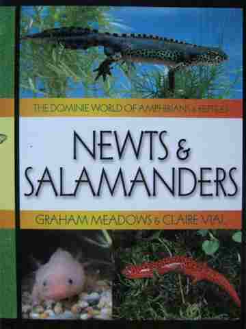 (image for) Newts & Salamanders (P) by Graham Meadows & Claire Vial