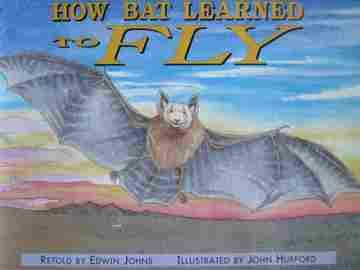 (image for) Storyteller How Bat Learned to Fly (P) by Edwin Johns