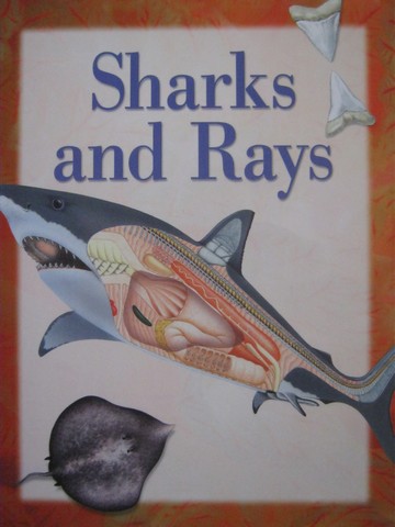 (image for) Explorers Sharks & Rays (P) by John Owen
