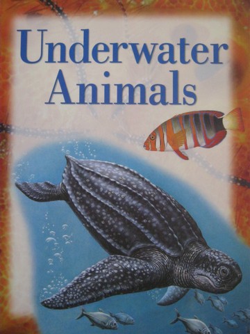 (image for) Explorers Underwater Animals (P) by John Owen