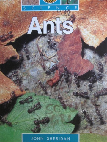(image for) Sunshine Books Science Ants (P) by John Sheridan