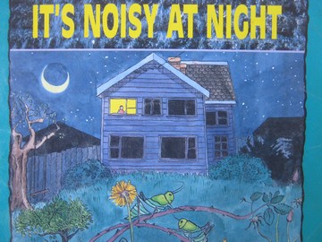 (image for) Wonder World 1 It's Noisy at Night (P) by Sandra Iversen