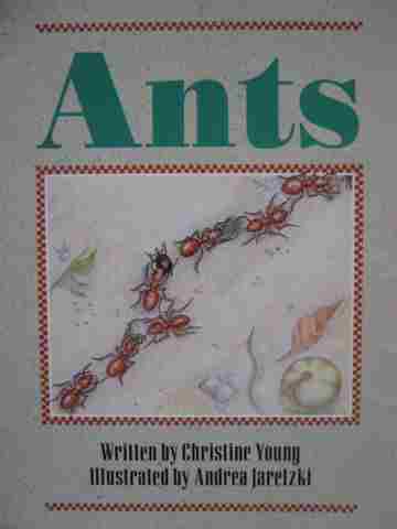 (image for) Wonder World 2 Ants (P) by Christine Young