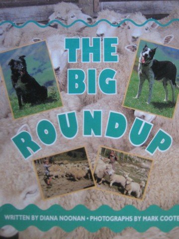 (image for) Wonder World 2 The Big Roundup (P) by Diana Noonan