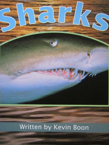 (image for) Wonder World 4 Sharks (P) by Kevin Boon