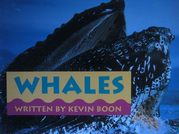 (image for) Wonder World 5 Whales (P) by Kevin Boon