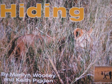 (image for) Foundations 1 Hiding (P) by Marilyn Woolley & Keith Pigdon