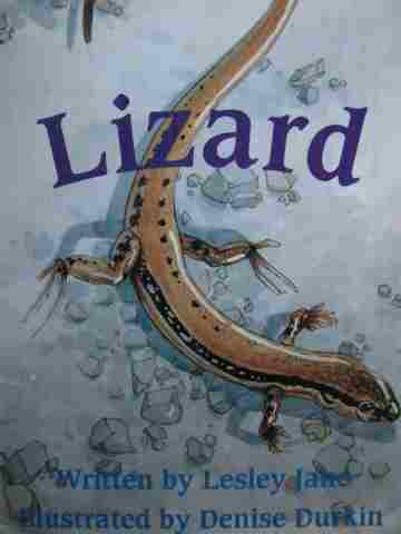 (image for) Foundations D Lizard (P) by Lesley Jane