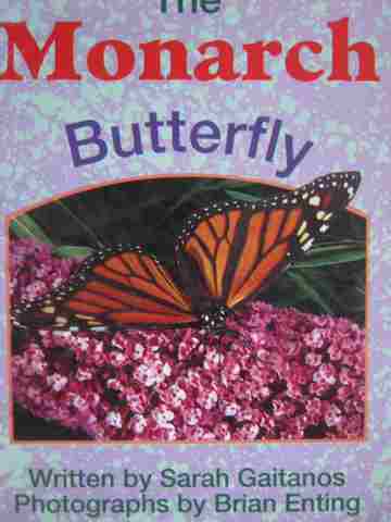 (image for) Foundations 4 The Monarch Butterfly (P) by Sarah Gaitanos