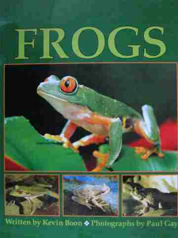 (image for) Wonder World 4 Frogs (P) by Kevin Boon