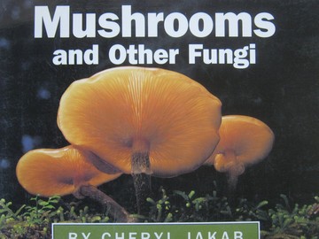 (image for) Sunshine Mushrooms & Other Fungi (P) by Cheryl Jakab